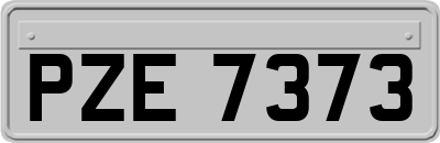 PZE7373