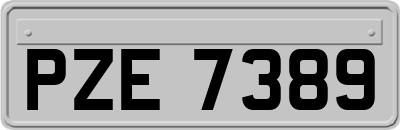 PZE7389