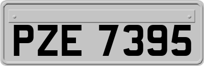 PZE7395