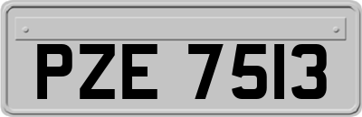 PZE7513