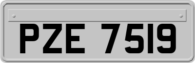 PZE7519