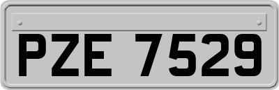 PZE7529
