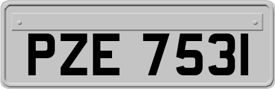 PZE7531