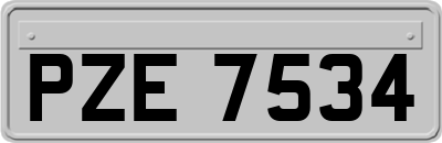 PZE7534