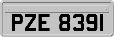 PZE8391