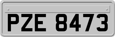 PZE8473