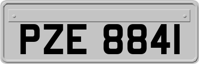 PZE8841