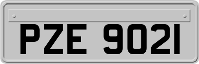 PZE9021