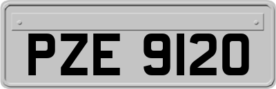 PZE9120