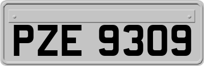 PZE9309