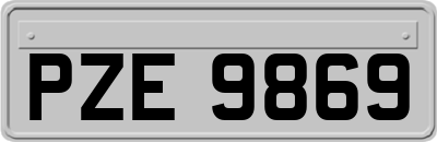 PZE9869