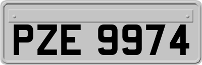 PZE9974