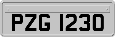 PZG1230