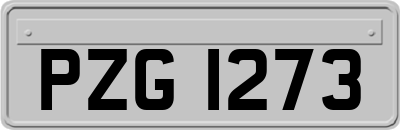 PZG1273