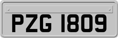 PZG1809