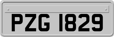 PZG1829