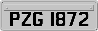 PZG1872