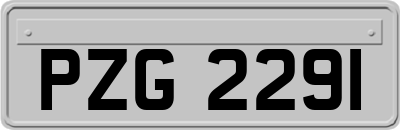 PZG2291