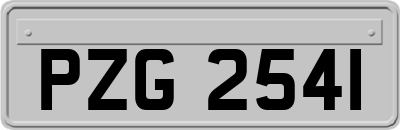 PZG2541