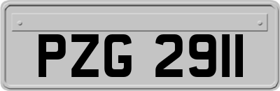 PZG2911