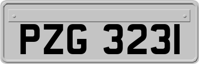 PZG3231