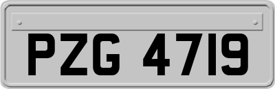 PZG4719