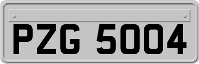 PZG5004