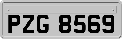 PZG8569