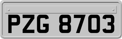 PZG8703