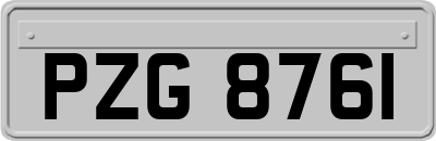 PZG8761