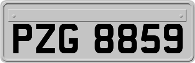 PZG8859