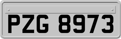 PZG8973