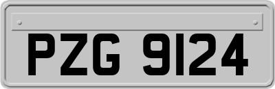 PZG9124