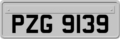 PZG9139