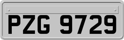 PZG9729