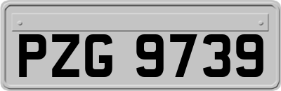 PZG9739