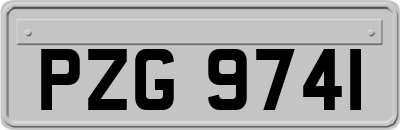 PZG9741