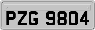 PZG9804