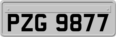 PZG9877