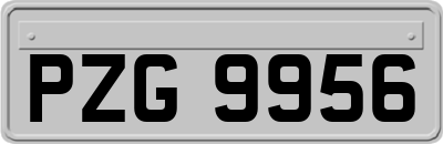 PZG9956