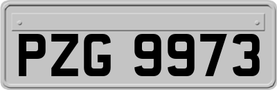 PZG9973