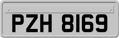 PZH8169