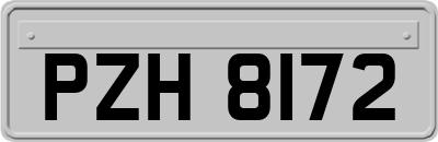 PZH8172