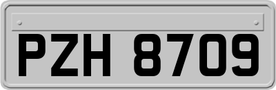 PZH8709