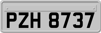 PZH8737