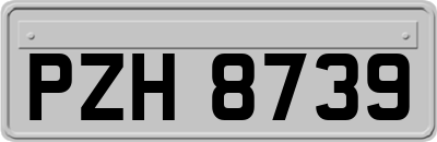 PZH8739