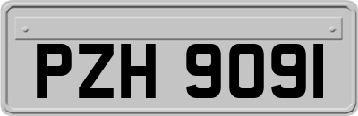 PZH9091