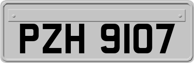 PZH9107