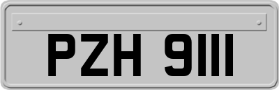 PZH9111