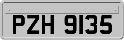 PZH9135